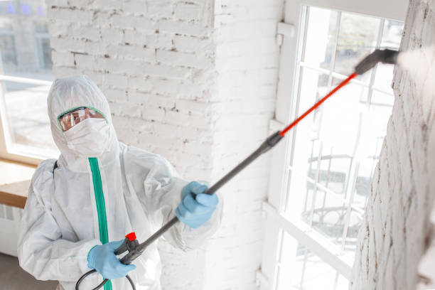 Best Mold Prevention Services  in East Grand Rapids, MI