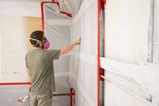 Mold Removal for HVAC Installations in East Grand Rapids, MI