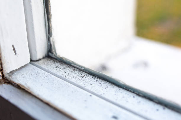 Best Dehumidification Services  in East Grand Rapids, MI