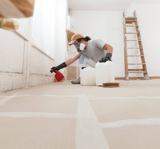 Best HVAC Mold Inspection and Cleaning  in East Grand Rapids, MI